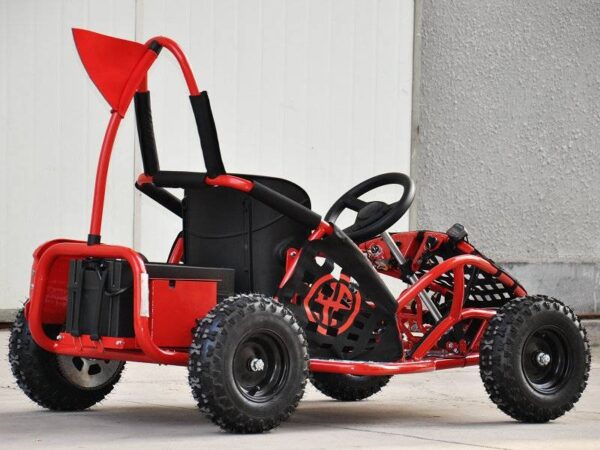 Ladegerät 48 Volt zu Elektro Buggy - Go-Kart, 1000 Watt